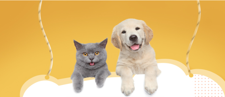 微信 图片20210326154812