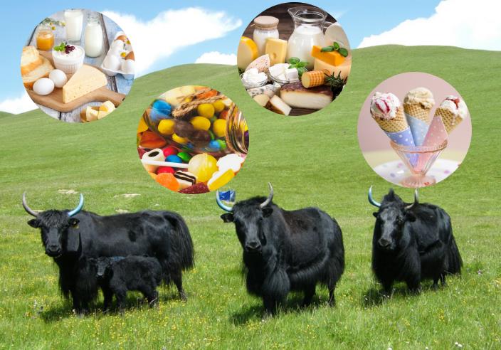 微 信 截图 _20210304135159