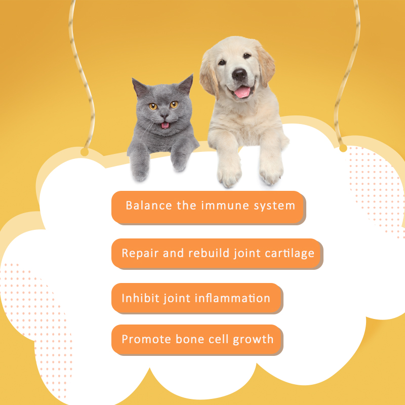 Probiotiques chat de chien de marque personnalisée pour chiot de chat pour l'amélioration des joints pour animaux de compagnie