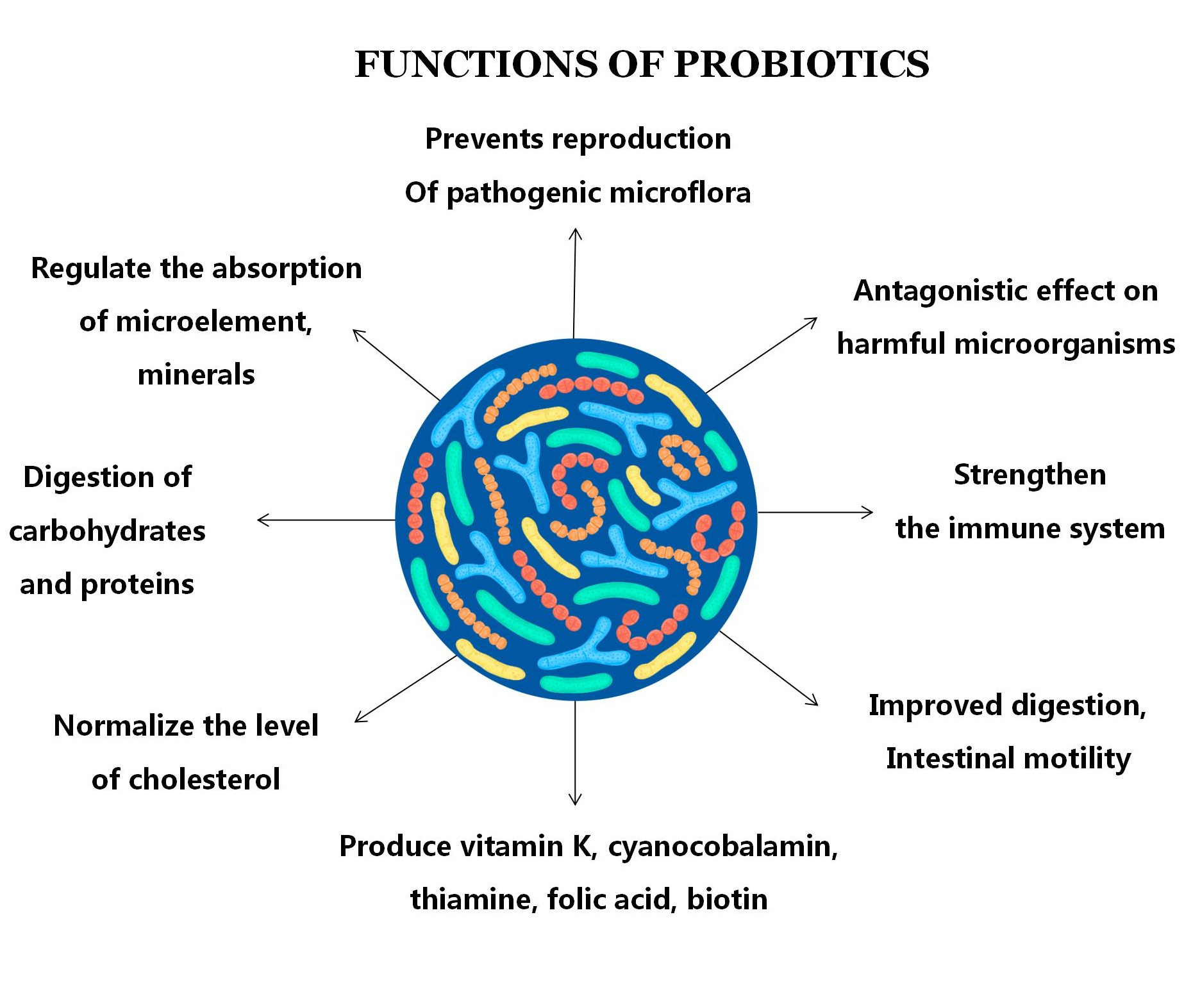 Probiotics Food Grade Pulletin Probiotic Restaurants en vrac Lactobacillus Probiotiques Poudre Bifidobacterium Lactis