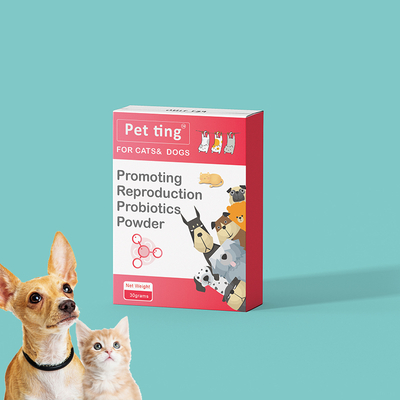Poudre probiotique multistraine pour favoriser la reproduction des animaux de compagnie