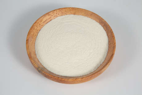 Lactobacillus plantarum